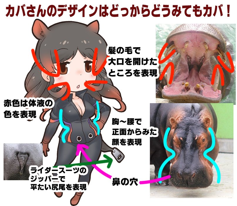 たかにそ けものフレンズ１話に登場する カバさん のデザインのどこが カバ なのかわからないという意見を散見したので図説してみた 吉崎先生の高度なデザインセンス けものフレンズ