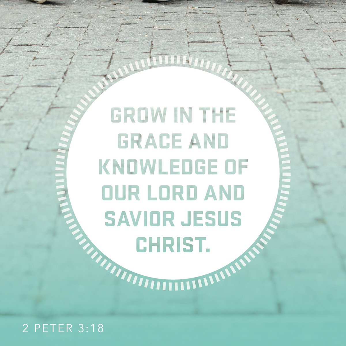 COTHAStudents's tweet photo. What’s one thing you can do to grow in your knowledge of Jesus? https://t.co/mR4foujkuz