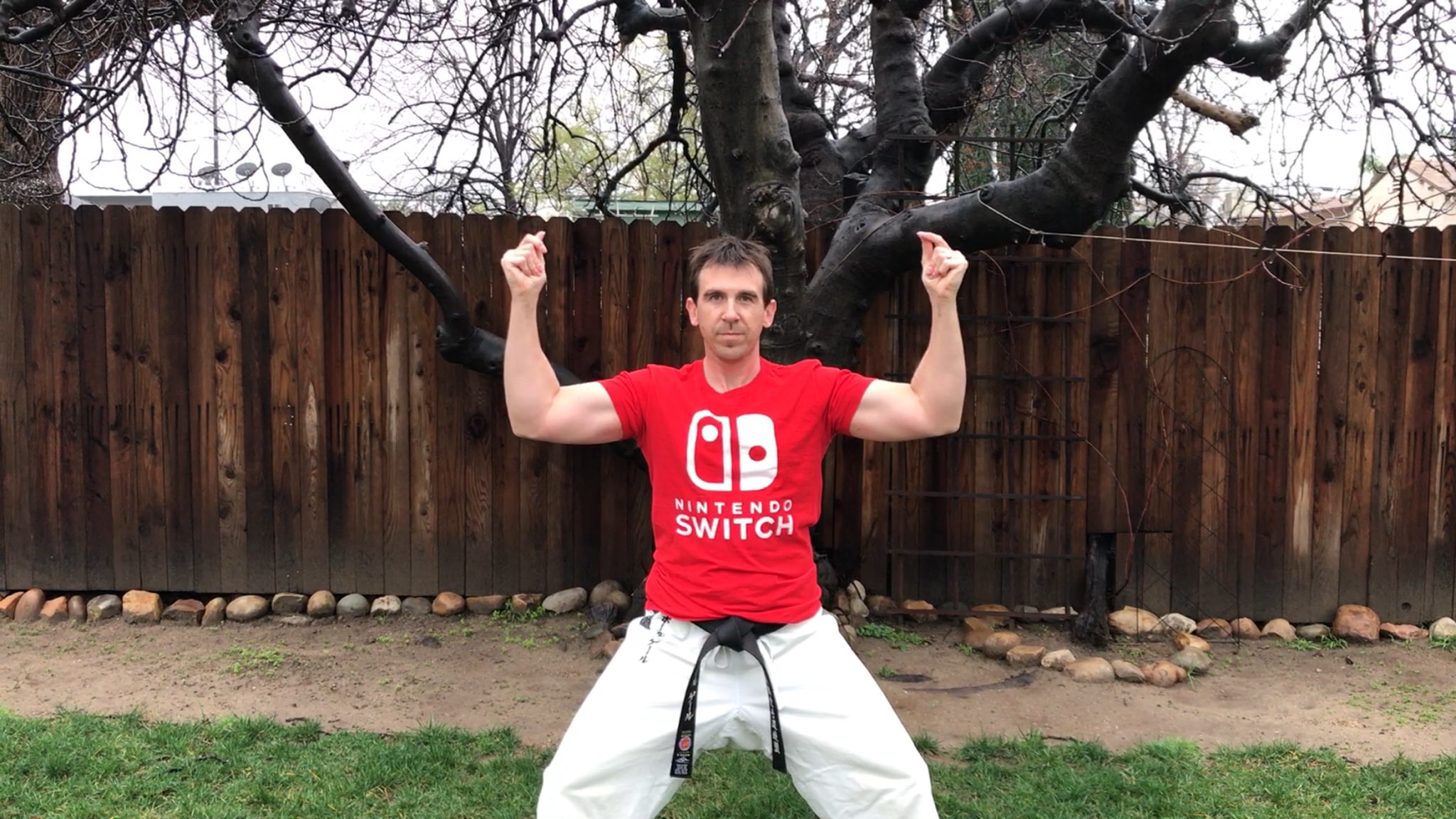 Nintendo Switch - Shotokan Karate picture and video on Paul Gale Network.