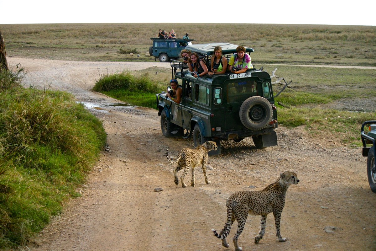 dylandmcdowell's tweet photo. The @GilmanProgram took me to the African savannah alongside cheetahs. Where will you go? Apply today #studyabroad https://t.co/HhkcHOgBPf https://t.co/2PkcyQB5vI