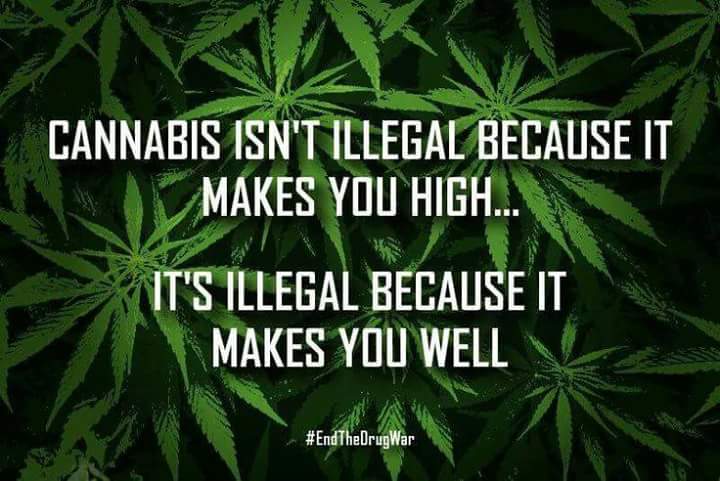 rizzo518's tweet photo. The truth 100% https://t.co/9aSdo1urGJ