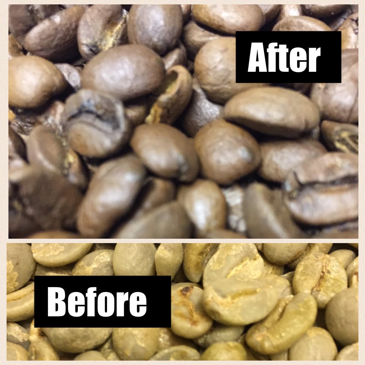 SeaglassCoffee's tweet photo. A cheeky little before and after shot 😉 #coffeeroasting #devonfood #devonhour #brazil https://t.co/BHpYmcLx4g