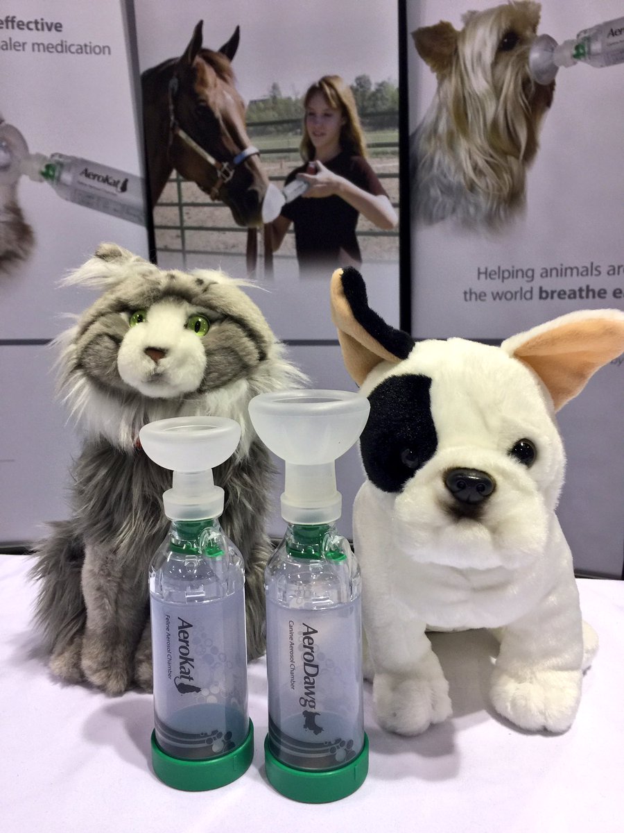 aerokat hashtag on twitter