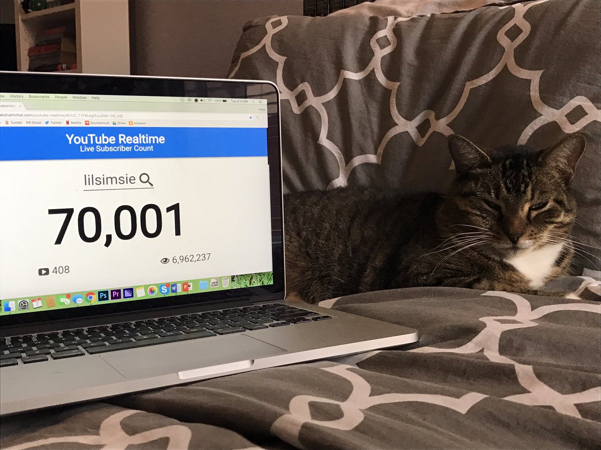 lilsimsie's tweet photo. My cat isn't nearly as excited as I am about this, but 70k!!! (Seriously, thank you guys so much. I am eternally grateful for your support.) https://t.co/vdF81vJoYy