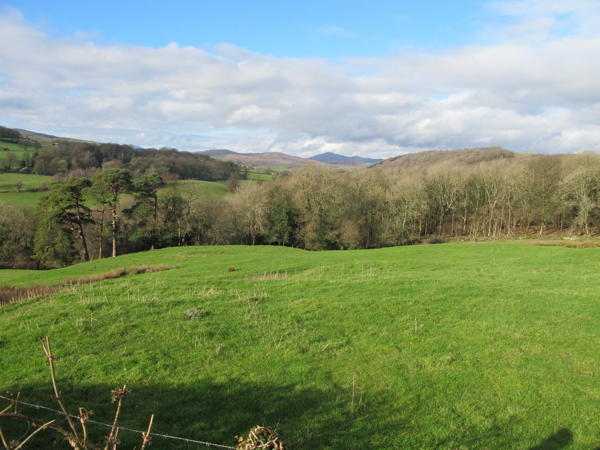 TheLengthsman's tweet image. Grand day in the #SouthLakes looking over #SparkBridge to #Coniston