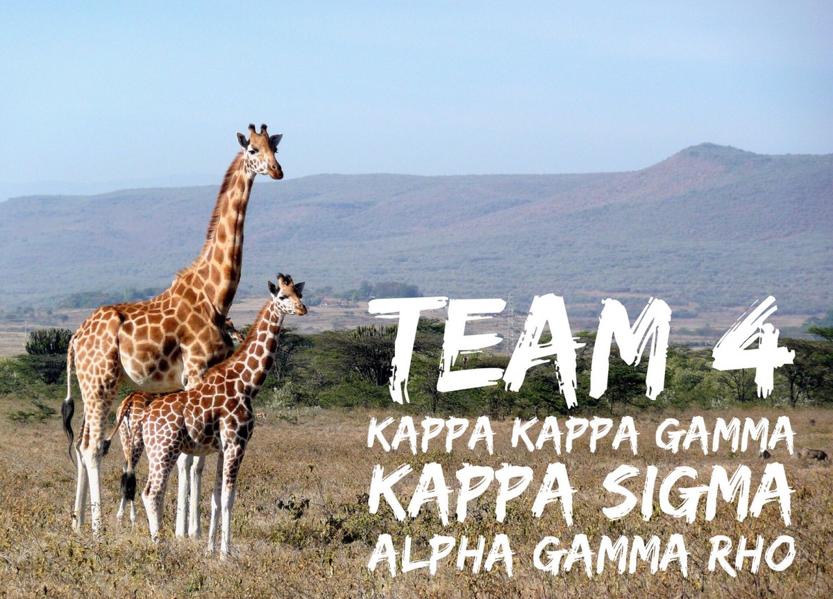 What do you see when two giraffes collide? A giraffic jam 🚙🚗 💨Welcome Team 4! RT this to help your team win the social media challenge!