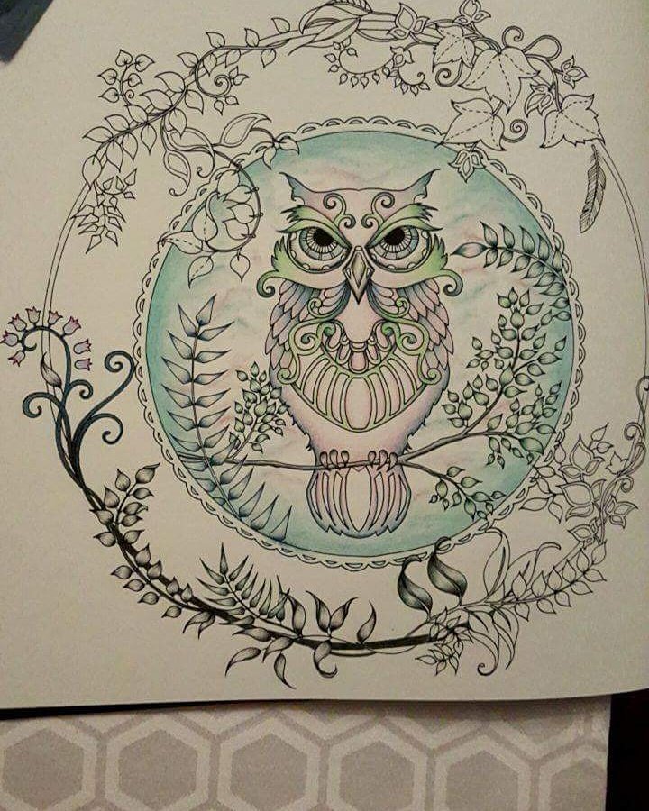 teresachard2's tweet photo. Owling again #johannabasford #enchantedforest #adultcolouring #colouringformindfulness https://t.co/6QQemc0X22