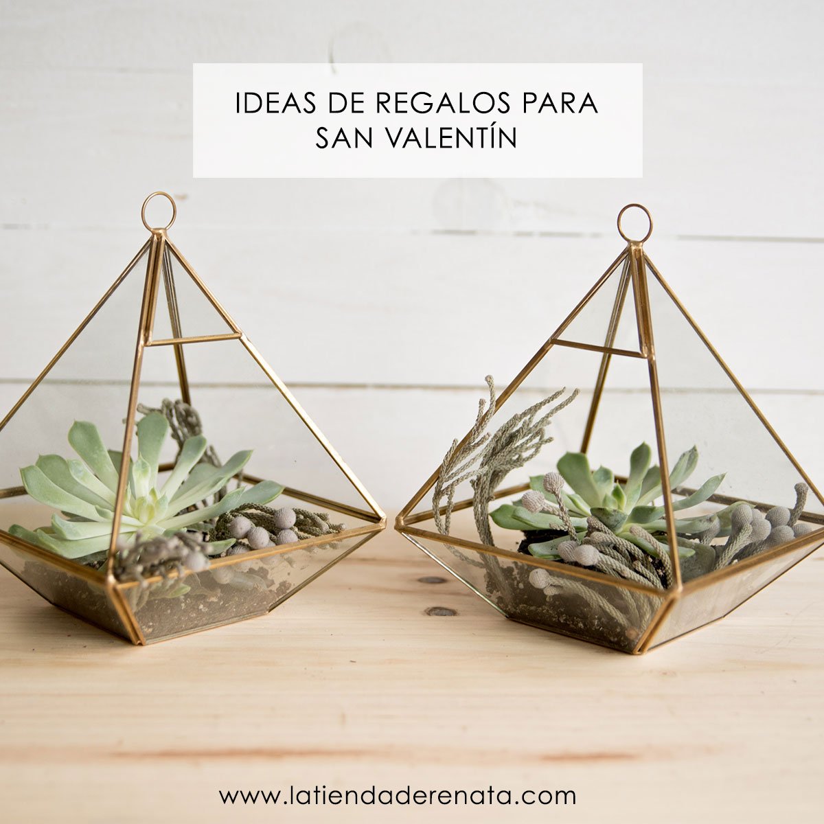 #IdeasparaSanValentin. Los terrarios son mágicos y tienen múltiples usos ¡dale un capricho! :-) ow.ly/qrO2308x1rS