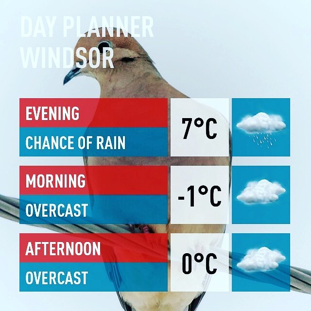 ArmsBumanlag's tweet photo. Rumble of Thunder, rain tapers off and dry and COLD. #tempswing continues. #localweathermatters at 6p @CTVWindsor https://t.co/6ZB8WW0RkQ