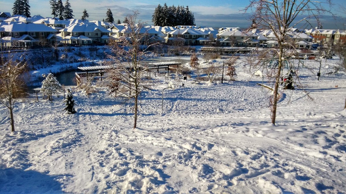 duttasanjib's tweet photo. #SunstonePark in #NorthDelta, #BC, #Canada. #DeltaBC #BCStorm #weather #snow #YVR #Vancouver #Icecouver #Snowcouver #Snowmageddon #Delta https://t.co/ByUNM3TexP