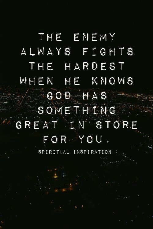 Tara Lilly (@thetaralilly) on Twitter photo 