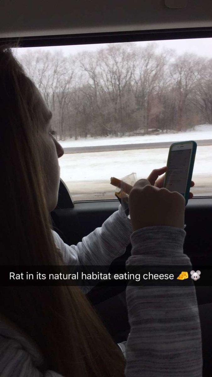 j_skarphol14's tweet photo. Happy 18th birthday s/o to #TeamRatPack @marn_marn17 can't believe you're 18 π³ hope you have an awesome day!πππ https://t.co/tQ0zMaZ5Er