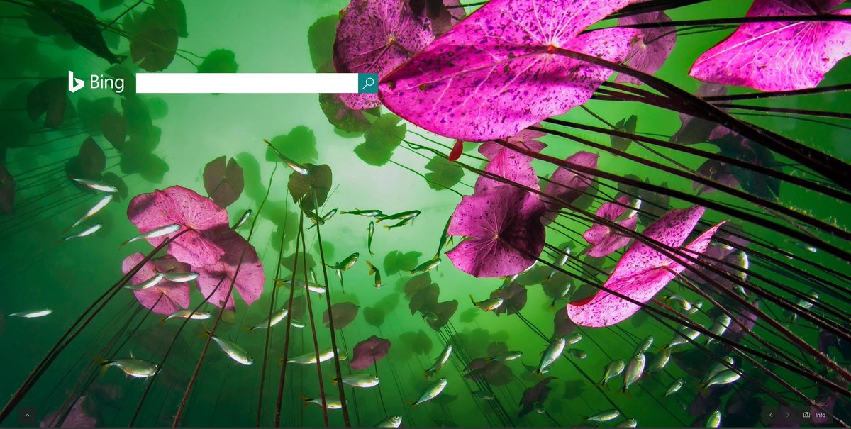 Tandem Stock tweet media