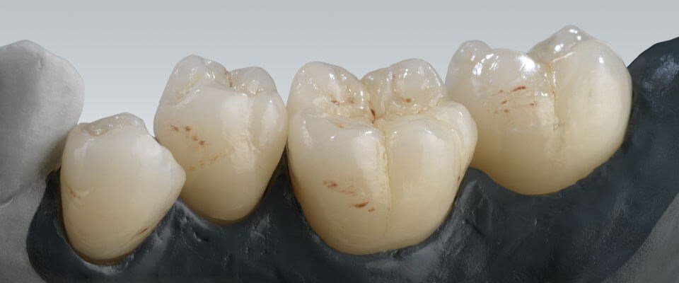 StewartLab tweet picture