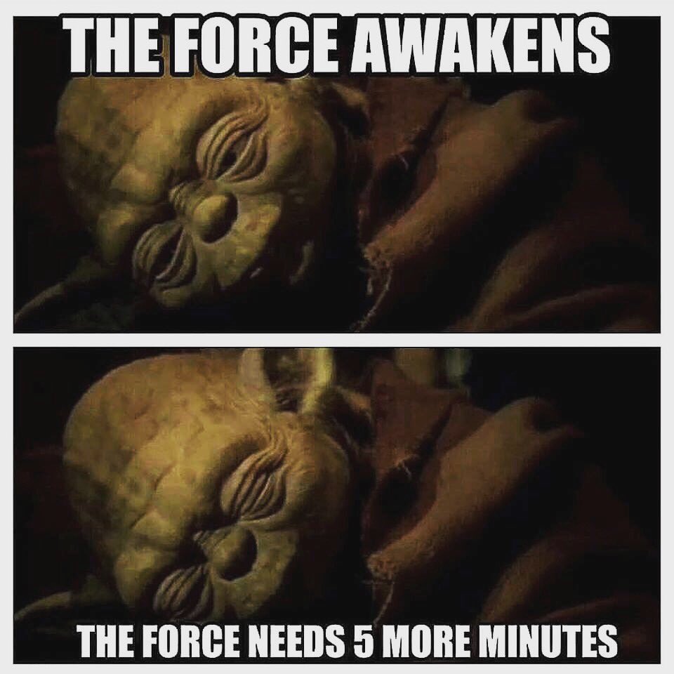 DeaconJasonBlog's tweet image. Today.
#TuesdayMotivation #StarWars