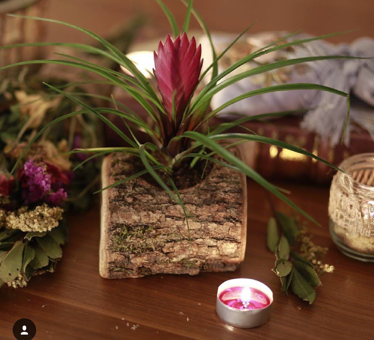 BabelCollection's tweet image. Özel günleriniz için #sukulent#davet#söz#nişan#düğün#doğum günü #sünnet#hediye #babel collection#bilgi için lütfen bize ulaşınız#