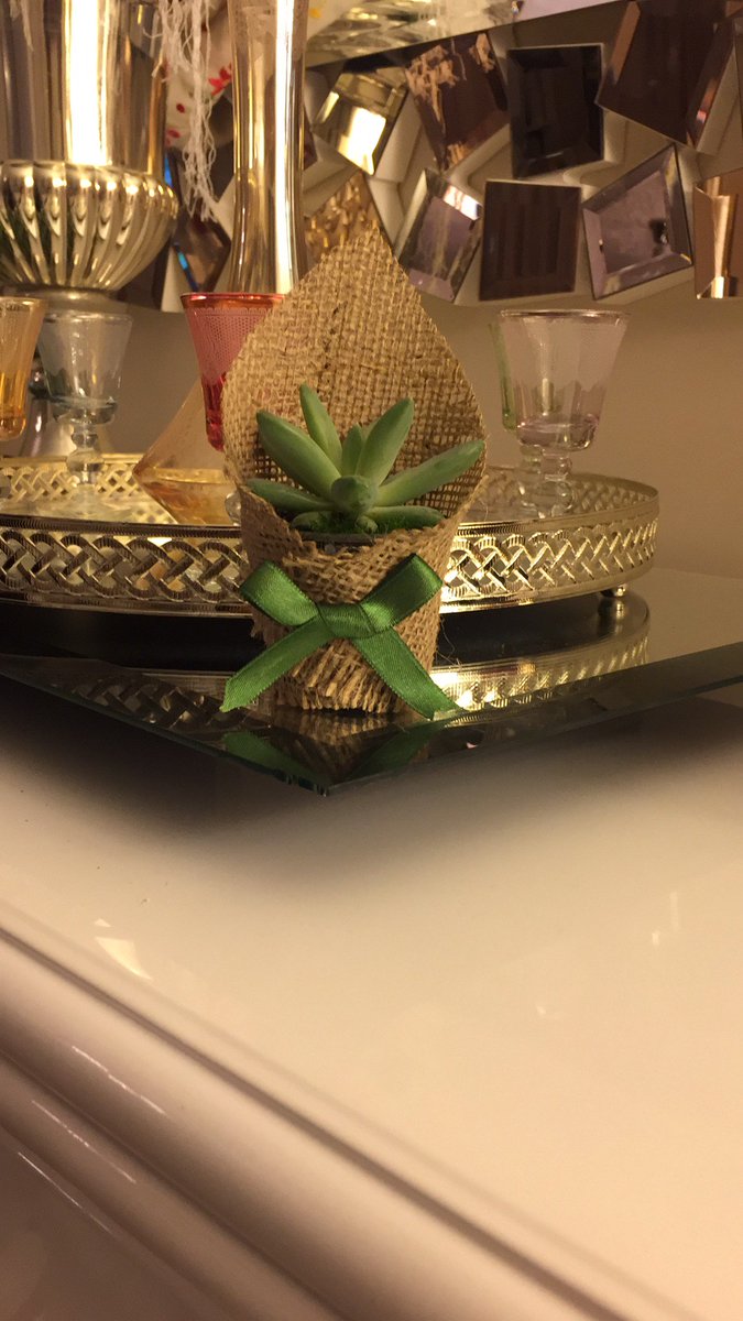 BabelCollection's tweet image. Özel günleriniz için #sukulent#davet#söz#nişan#düğün#doğum günü #sünnet#hediye #babel collection#bilgi için lütfen bize ulaşınız#