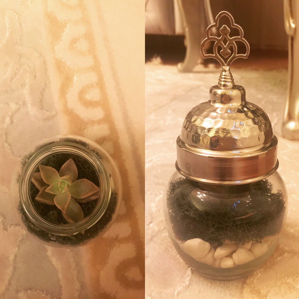 BabelCollection's tweet image. Sukkulent# söz #nişan #davet # hediye # doğum #doğum günü #sünnet # düğün # organizasyon # bizim ile iletişime geçin # babel collection