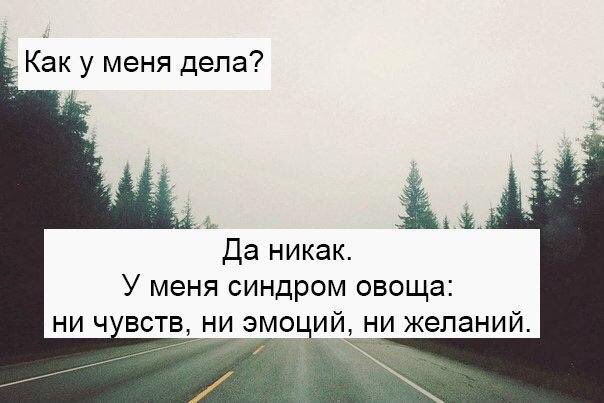 как ваши дела картинки. как мотивироватьсясебя. как мотивировать себя никак оставайтесь в. подъебать друга святое дело. геральт сначала поговорим о награде.