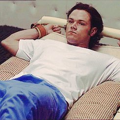 NuttyashellCF's tweet image. Harrison Danvers
Nutty as hell or totally crazy or insane all work . 
Shy ,quiet but can be violent. 
Sex what's that? - laughs- but I'm gay