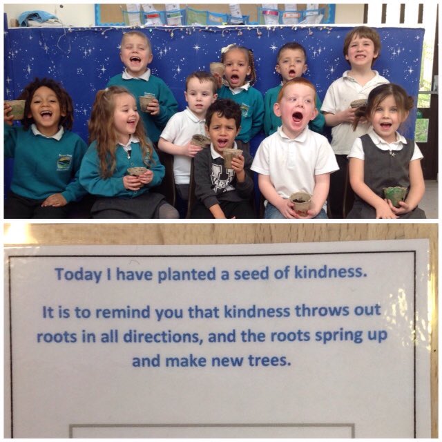 Severn View Primary tweet media