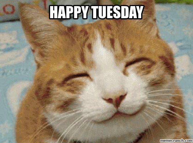 BrunoOrtho's tweet photo. #HappyTuesday from Dr.Bruno and the team. #braces #orthodontics #creatingbeautifulsmiles https://t.co/dIY4y0CMMO