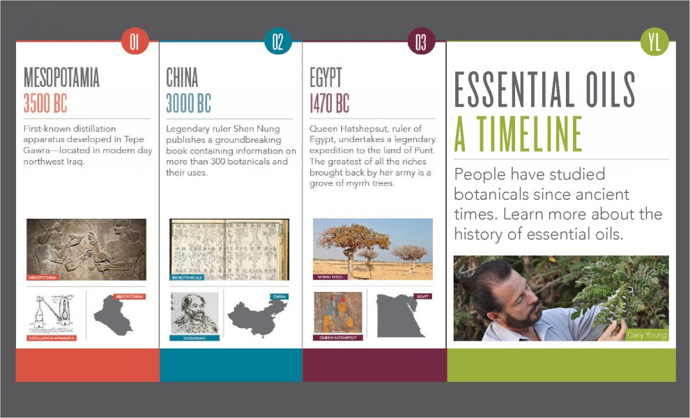 Essential oils have been used by different cultures throughout the centuries. goo.gl/Ok8rOo #yleo