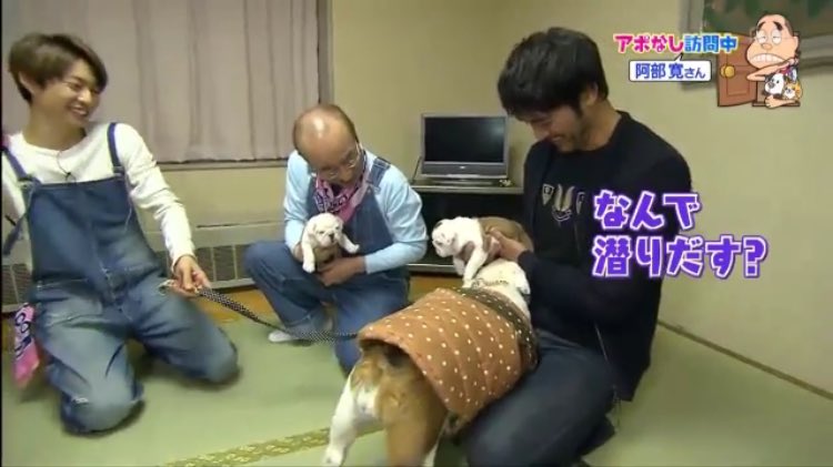 kanotantan's tweet photo. 【おまけ】
このあと登場した母犬も、阿部寛に向かって真っ直ぐ突進し、迷うことなく股間に顔を突っ込む https://t.co/CamT7noCfH
