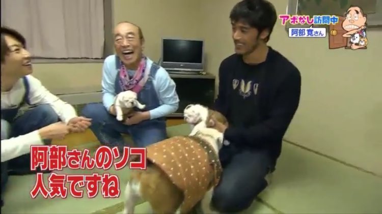 kanotantan's tweet photo. 【おまけ】
このあと登場した母犬も、阿部寛に向かって真っ直ぐ突進し、迷うことなく股間に顔を突っ込む https://t.co/CamT7noCfH