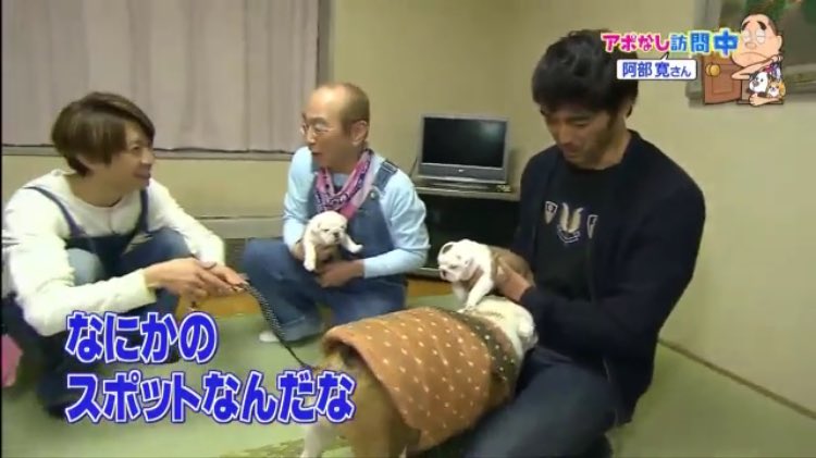 kanotantan's tweet photo. 【おまけ】
このあと登場した母犬も、阿部寛に向かって真っ直ぐ突進し、迷うことなく股間に顔を突っ込む https://t.co/CamT7noCfH