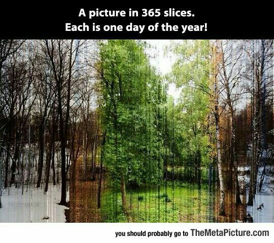 BellesBeautiful's tweet photo. How gorgeous is this!?!?! So many colours!!!! #Seasons https://t.co/i8lSUeoarA