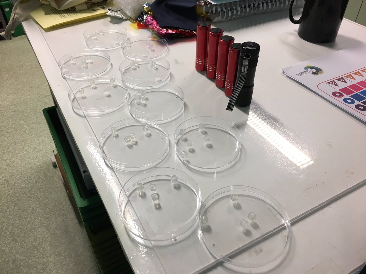 DrJohnODonoghue's tweet image. I got so busy at the trainee teacher workshop in @uccchemistry this afternoon I forgot to take photos! 21 BSc Ed &amp;amp; PME doing #GlobalExp