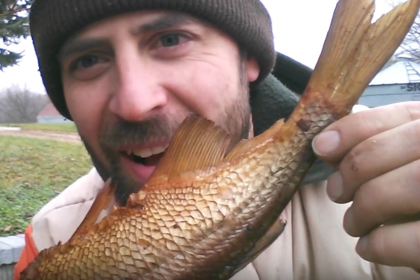 LifeatheDeadEnd's tweet image. Life at the Dead End: Survival Tip! How to smoke a goldeye. youtu.be/6G1E7mQlOkY #survival #smokinghot