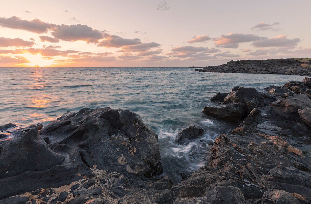 h_alfaydi's tweet photo. اسعد الله مساءكم 
عمل من شاطئ الحره ب املج ❤️
تبوك - املج 
@photos_SP https://t.co/RE8aFjgqM6