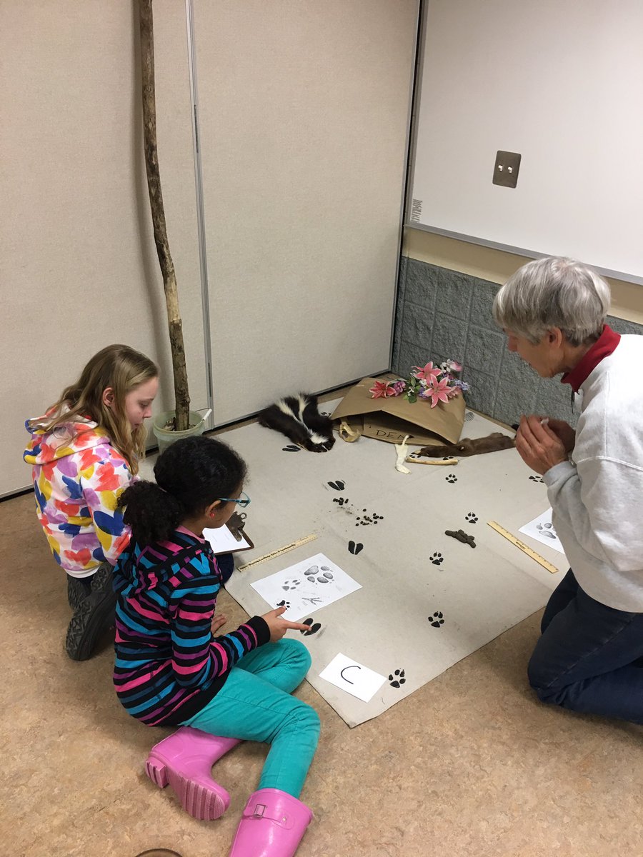 Clugstonclass's tweet photo. Detectives at the nature center! @EastHills5_8 https://t.co/JNpynbT8ij