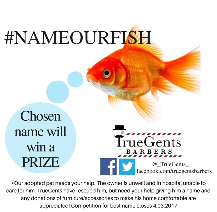_TrueGents_'s tweet photo. HELP US! #NAMEOURFISH
To enter the competition simply tweet #nameourfish with the name of your choice! Competition closes 4.03.17 https://t.co/7QqFTyY78r