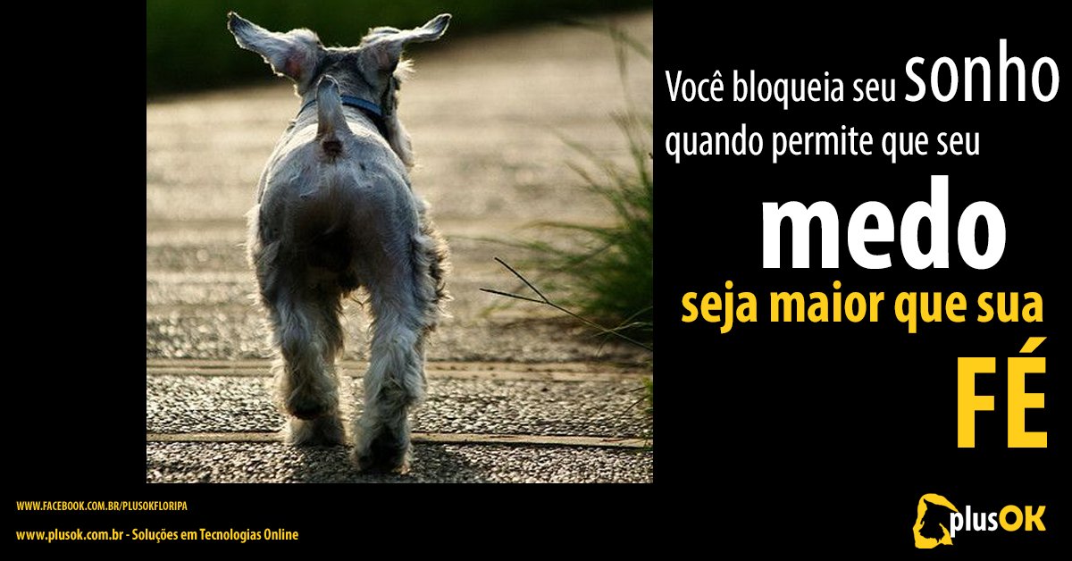 PlusOkFloripa's tweet photo. Boa terça! Bora ir em frente!
#plusok #emfrente #semmedo https://t.co/6V7Tgb8kPx