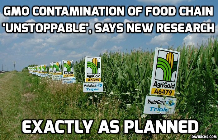 davidicke's tweet photo. Global food supply to be contaminated by genetically modified organisms used for pest control, warn scientists https://t.co/jEJzfW3UJc https://t.co/9Cva8p73WN