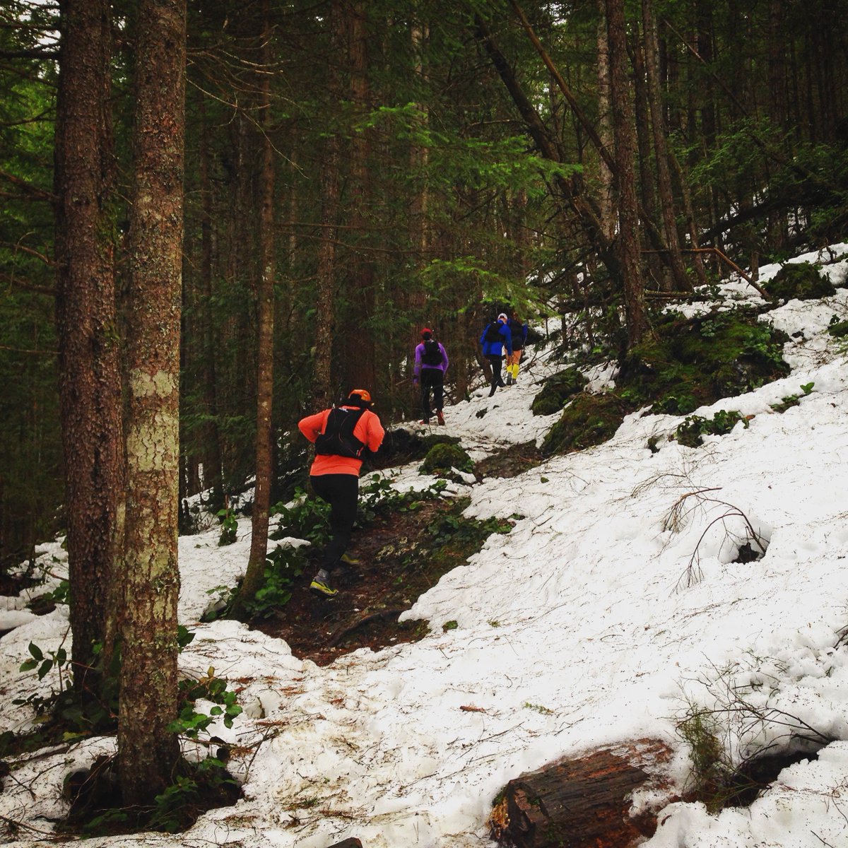briehemingway's tweet photo. Can you spot my yellow calf sleeves? #bibchat @legendlegwear #legendcompression #rightnottight #running #compression #trailrunning https://t.co/FFzOhd3rXz