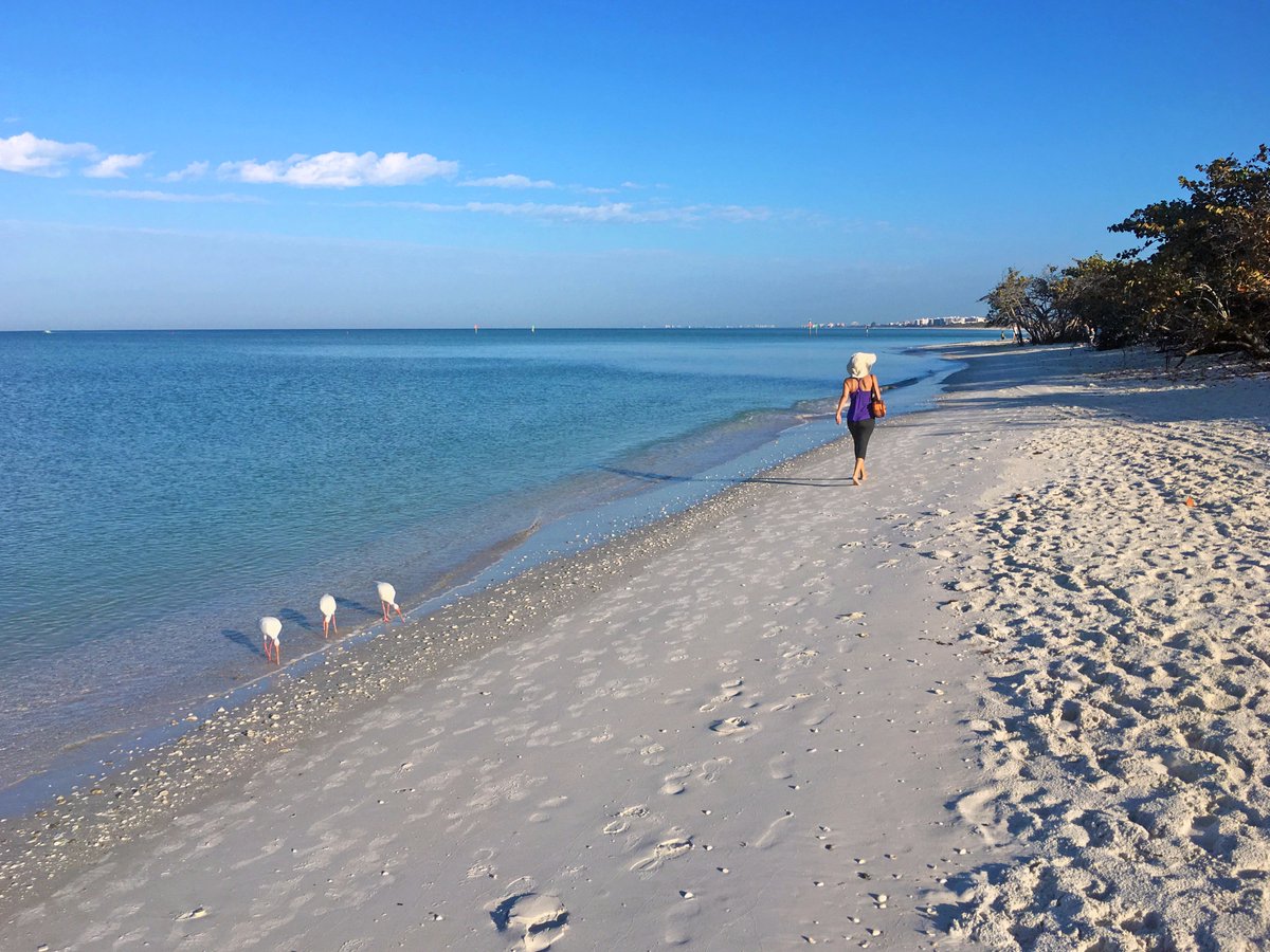 SWFLTV's tweet photo. Another beautiful day in Naples at Delnor-Wiggins @FLStateParks @ShareALittleSun @ParadiseCoast #NaplesFlorida #FloridaBeaches #LoveFL #SWFL https://t.co/HWaOEKSArV