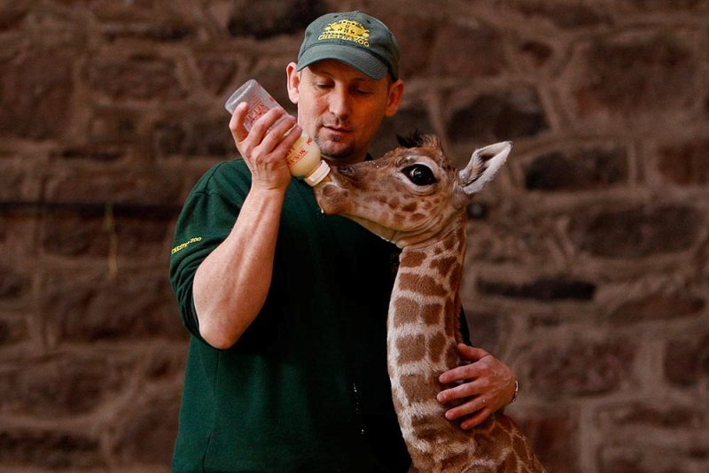 GirafJames's tweet photo. Baby.😊 https://t.co/tpJoO9H2sR