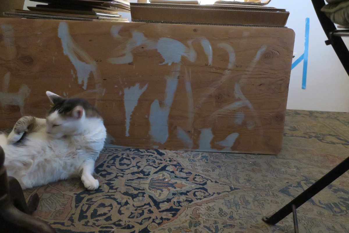 EmilioSegares's tweet photo. #EmilioSegares
#behide-the-scenes : #Bastet grooming before shoot of Cerulean Half-Piece https://t.co/A4XR7lQiTM