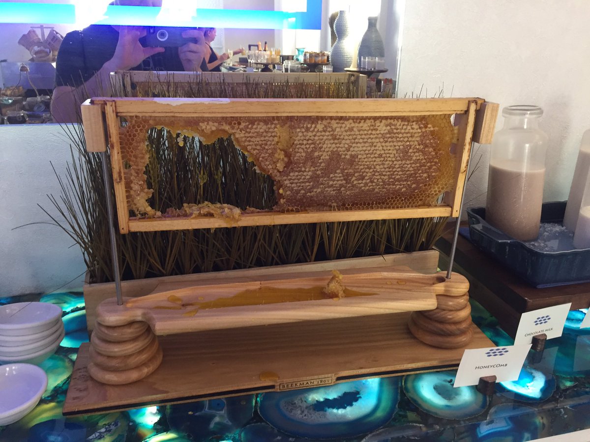 TimRadack's tweet image. Fresh Honey Comb pulled straight from the bee hive. Yummy.