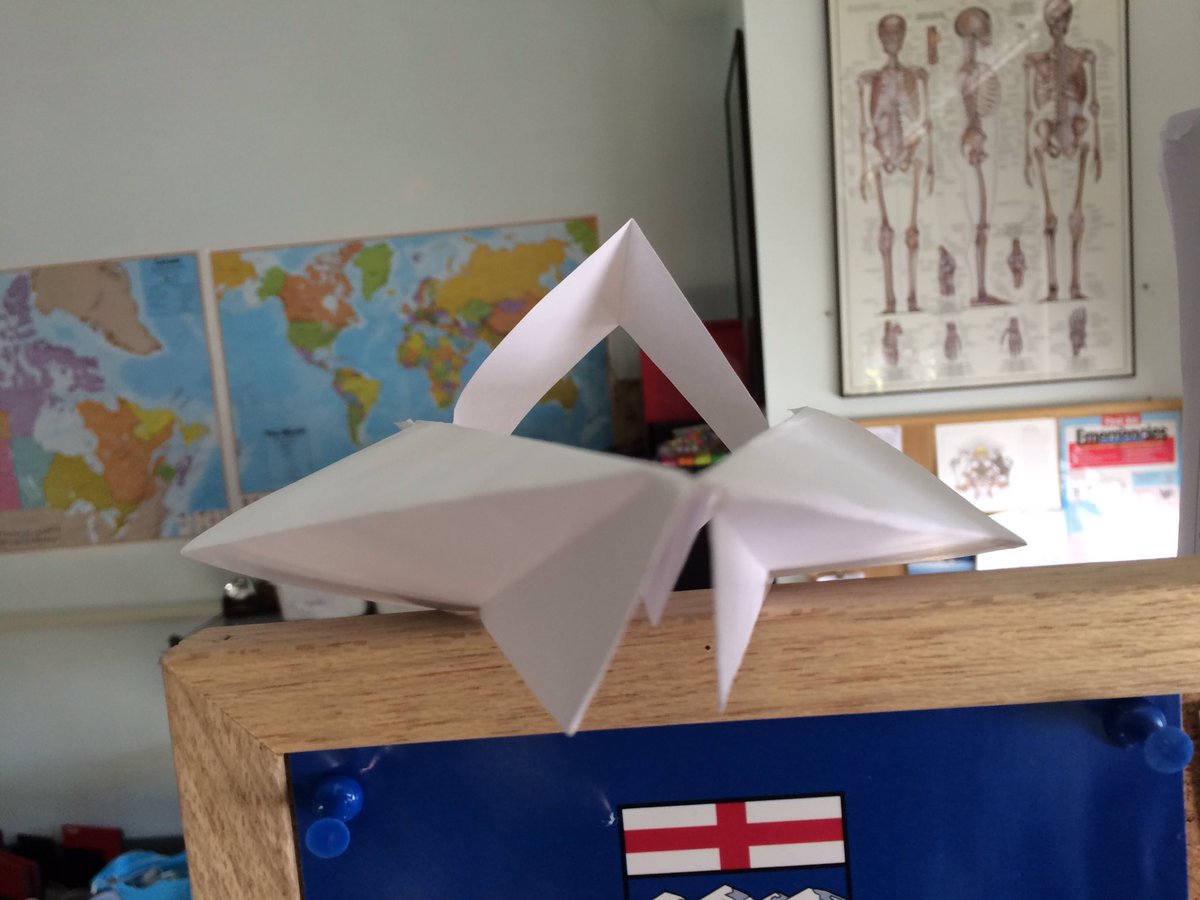 teacherjeff33's tweet photo. Introduction to Flight, grade 6 Science - paper airplane showdown! https://t.co/qVnGxfu9hu