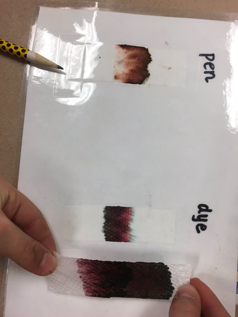 CGgrade2's tweet image. Evidence chart to track who borrowed Mr. Bear 🐻. Forensic experiments to help us solve the mystery!