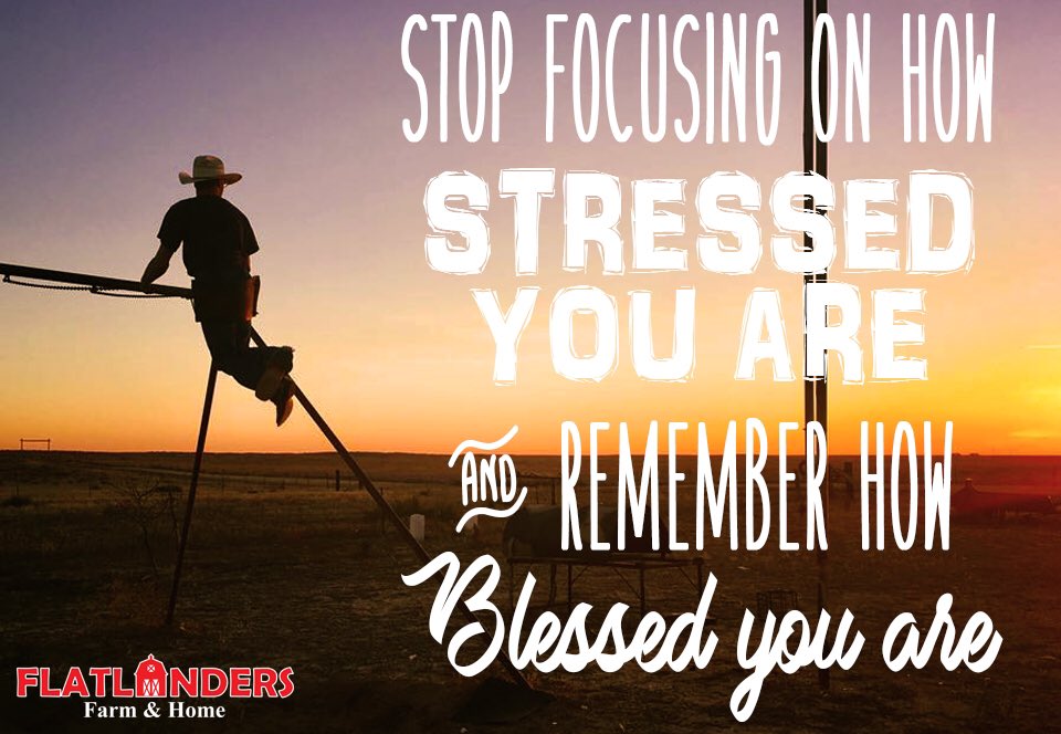 Flatlanders (Flatlanders_15) Twitter