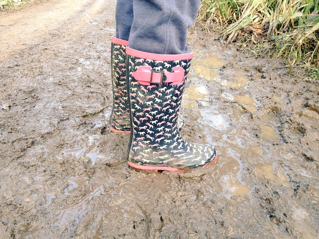 DoItDeva's tweet photo. We found mud but the paths are great at Alyn Waters Country Park #welliewalks #doitdeva #chester #wrexham https://t.co/mJHl6xLCvu https://t.co/OwJVahYafJ