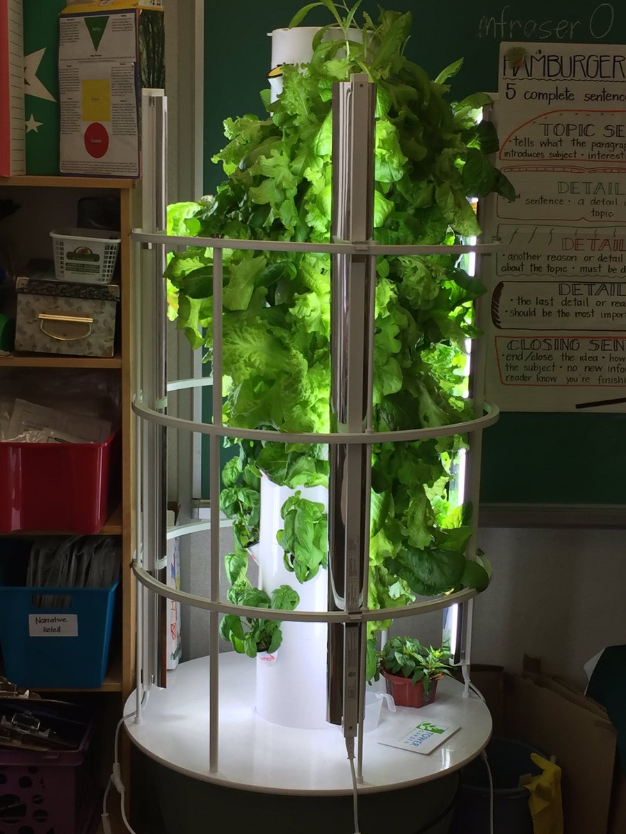 RMChaplin's tweet photo. Grade 3s @kcharlesocsb are green to grow despite the snow!  #ocsb #ocsbeco @Stbernardottawa https://t.co/Ps8GG1KBIV