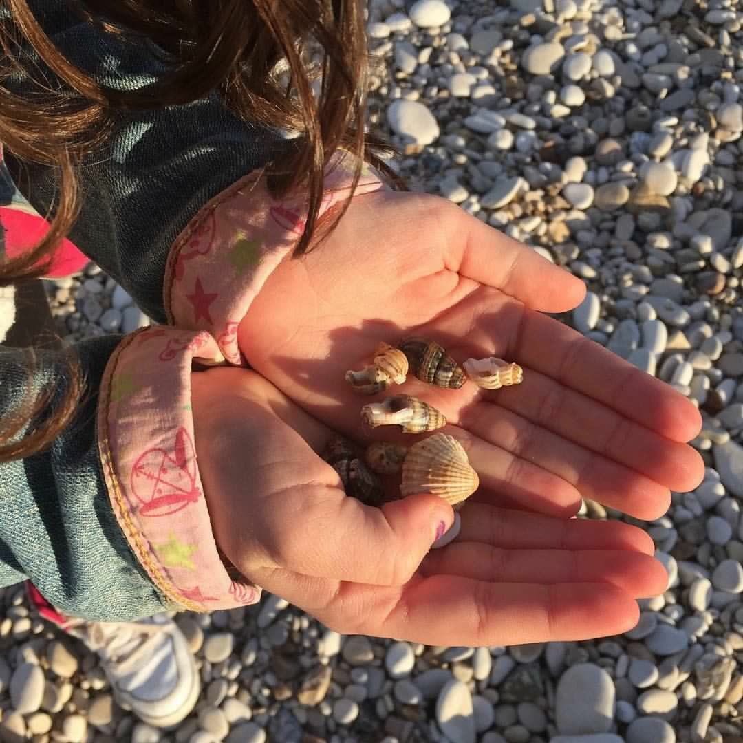 giuliascappa's tweet photo. Collecting shells with my kids along the #costadeitrabocchi. That's Abruzzo! #escapetoabruzzo https://t.co/DH3eDeMqFt