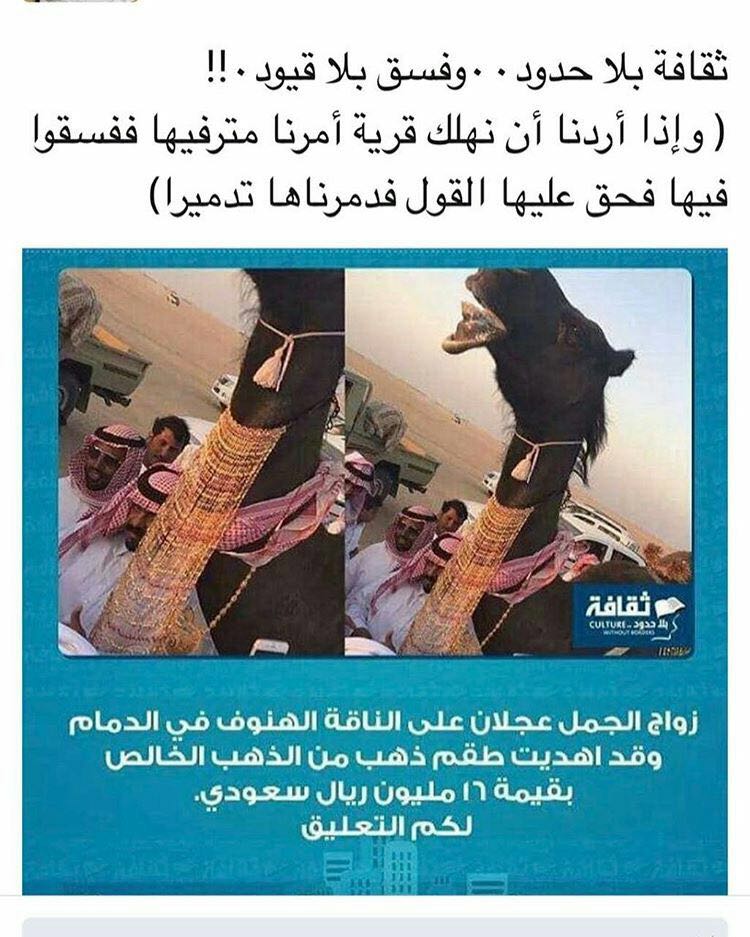 jeddah10211's tweet photo. وانا قلبي  يتقطع ع ولدي لا علاج ولا تعليم شي مؤلم حقيقه https://t.co/w0zXRZtPFC